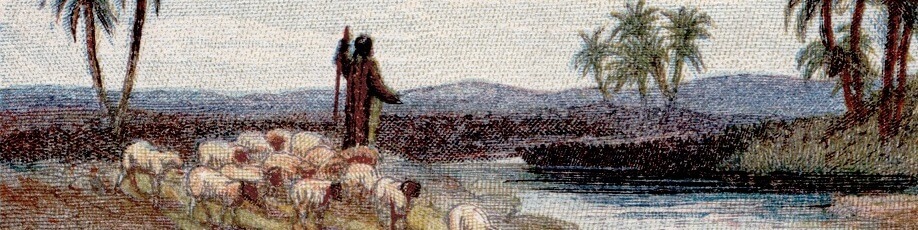 Shepherd and sheep - Psalm 23